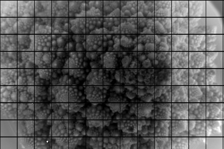 Científicos de la universidad de Standford logran capturar las primeras fotografías con un sensor de 3200 MP de resolución