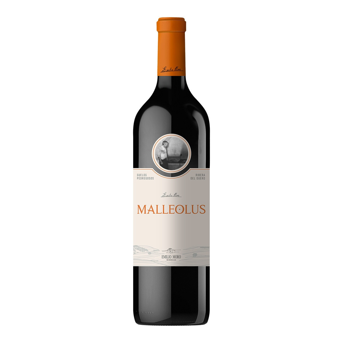 Malleolus - Vino tinto Malleolus tempranillo 2022 Ribera del Duero.