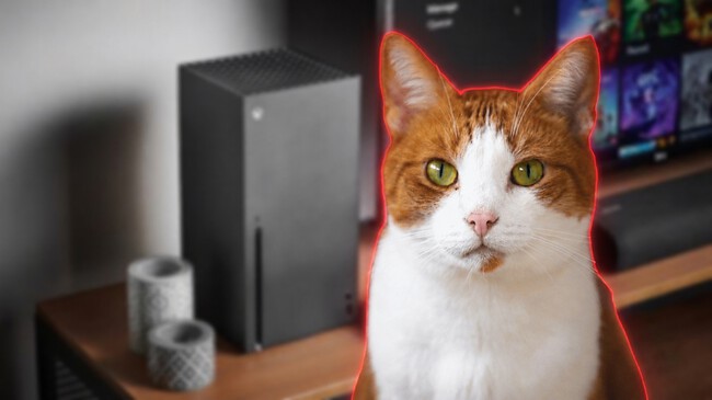 Este Jugador Transformo Su Xbox Series X En Una Extrana Pieza De Arquitectura Hostil Por Una Sencilla Razon Evitar Que Su Gato Siguiera Subiendose Sobre La Consola