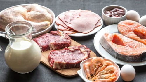 Top 11 de alimentos ricos en proteínas