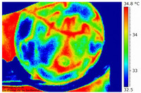 El calor del pecho de una madre lactante gracias a la fotografía térmica 