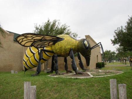 hidalgogiantkillerbee1.jpg