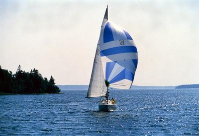 Vela Aland