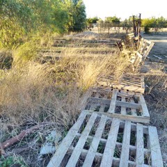 Foto 7 de 20 de la galería wiko-u-feel-prime-2 en Xataka Android