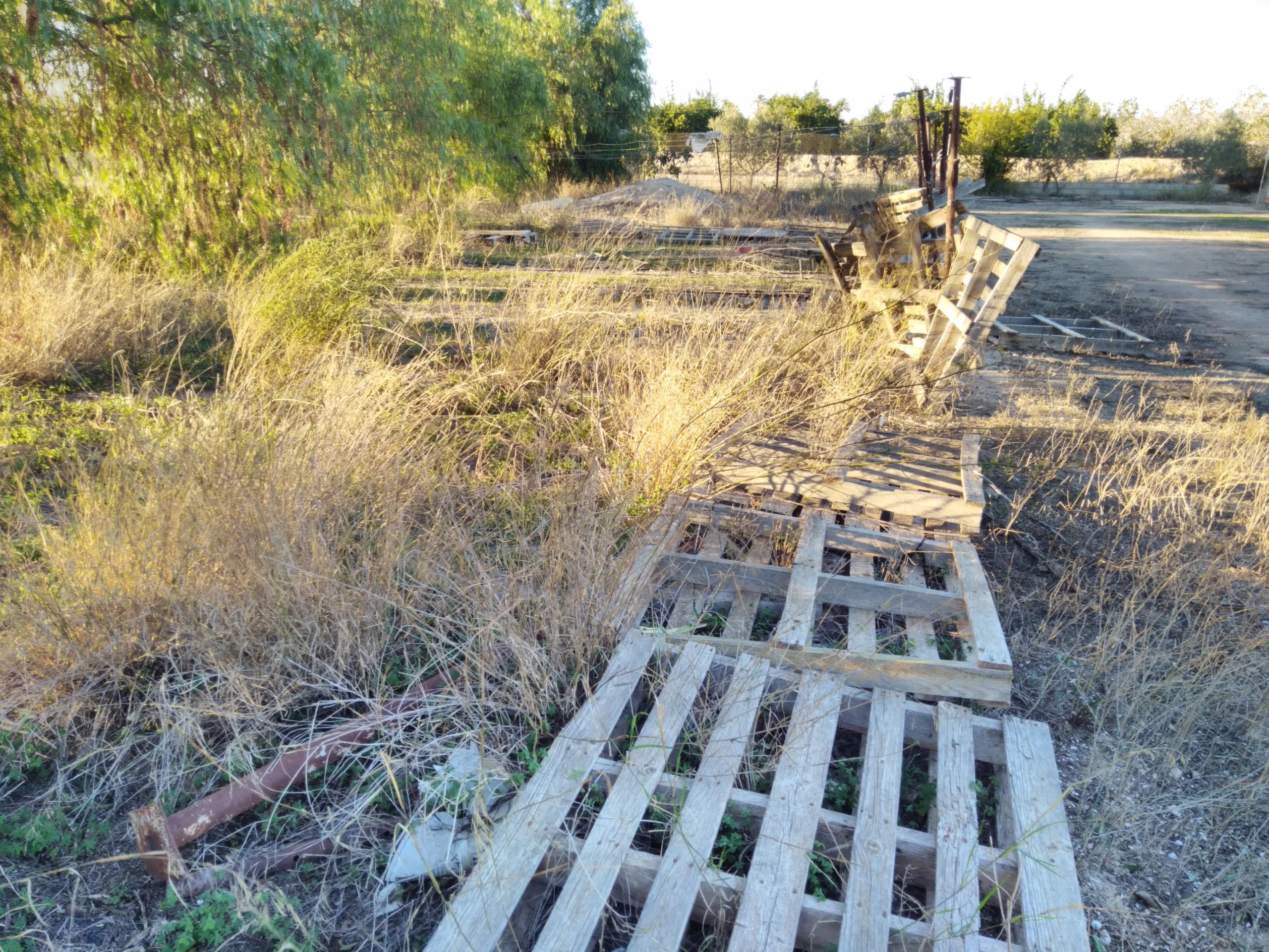 Foto de Wiko U Feel Prime (7/20)