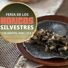 Lánzate a la Feria de los Hongos Silvestres a Los Pinos a probar platillos tradicionales como tamales, quesadillas y productos artesanales este fin de semana