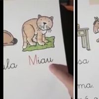 El gracioso vídeo de un niño aprendiendo a leer que te arrancará una sonrisa