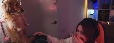 Si piensas que es IA, te equivocas de lleno: una perra ha aprendido a jugar League of Legends 