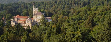 En la península ibérica hay muchos bosques, pero solo uno puede presumir de tener árboles "terapéuticos": Bussaco