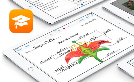 "Aprender en Cualquier Nivel", la nueva sección educativa en las tiendas digitales de Apple