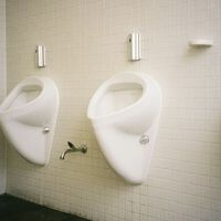 Cada vez más hombres orinan sentados en lugar de hacerlo de pie. La ciencia sabe que es una buena idea 