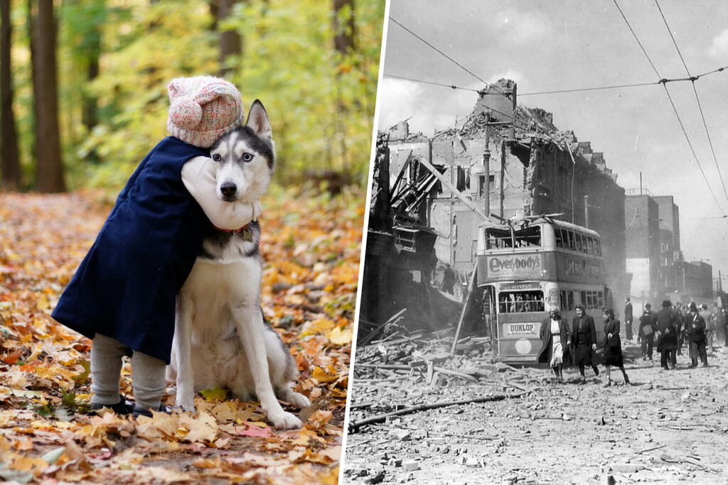 Al comienzo de la Segunda Guerra Mundial, Londres vivió una de sus peores tragedias: la gran masacre de mascotas 