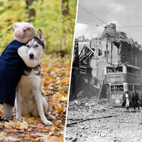 En 1939 Londres temía una guerra inminente, así que miles de familias tomaron una decisión radical: una masacre de mascotas
