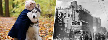 En 1939 Londres temía una guerra inminente, así que miles de familias tomaron una decisión radical: una masacre de mascotas