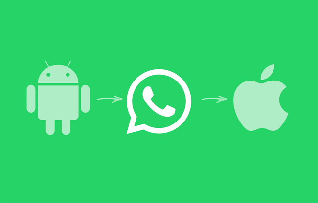 Whatsapp Ios Android
