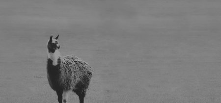 Winamp volverá en 2019 como un servicio totalmente renovado