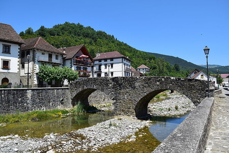 Ochagavia