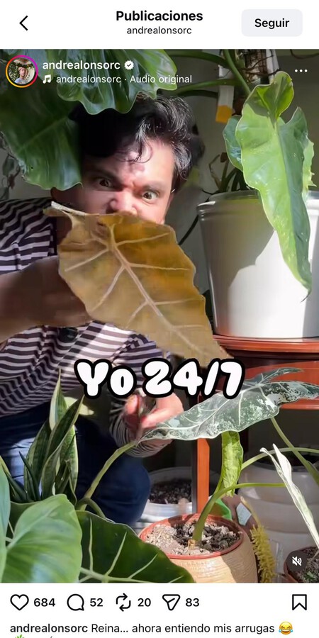 El experto en plantas