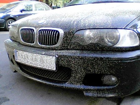 ¿Cuántos insectos hay en el mundo? ¿Y en España? ¿Y para qué sirven los mosquitos? ¿Cuántos mueren en la carretera?