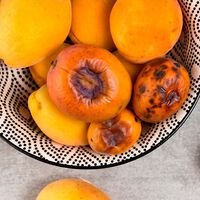 Formas rápidas y gratis de darle una segunda vida a tus frutas magulladas. Para que no las tires a la basura