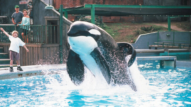 Willy