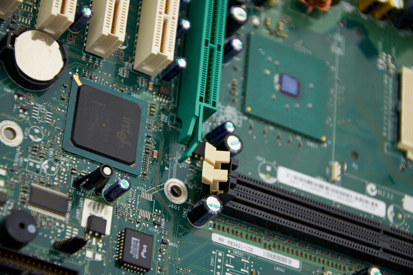 "Se están comiendo mi GPU": el PC Gaming de un jugador sufre una invasión de hormigas y no sabe cómo librarse de ellas