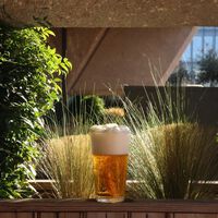 Este es el tirador de cerveza que estabas buscando para disfrutar como en el bar sin salir de casa