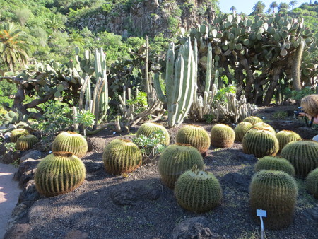 gran canaria