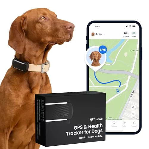 Tractive - GPS perros | 2025 Edición | N.º 1 del mercado | Localización en tiempo real | Alertas antifuga | Monitor de actividad | Avisos de salud | Seguimiento de ladridos (Negro)