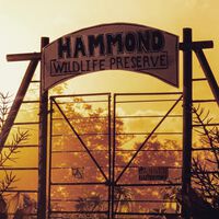 Es la película de ciencia ficción más cara de la historia del cine, con un coste de 584 millones de dólares, y la puedes ver en Netflix 