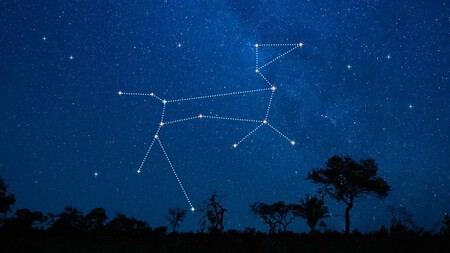 La Constelacion Del Perro Estrellas