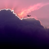 Así sorprendieron, en medio de un vuelo, a las mujeres que viajaban a las manifestaciones contra Trump