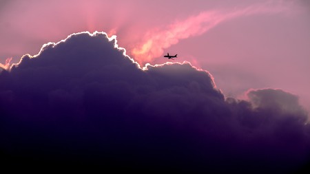 Así sorprendieron, en medio de un vuelo, a las mujeres que viajaban a las manifestaciones contra Trump