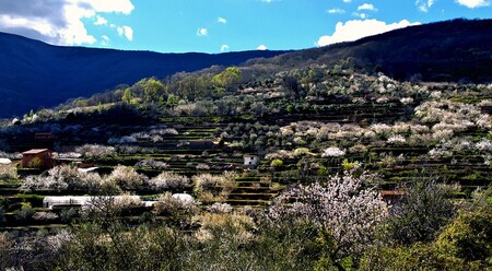 Garganta De La Olla Caceres