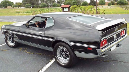 Familia Mustang