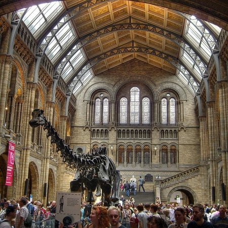 Museo de Historia Natural de Londres