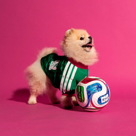 Jersey Mexico Mascotas Verde Ky5154 Hm54