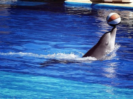 Los parques temáticos de Madrid notan mucho la crisis y bajan los precios