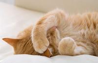 A vueltas con la baja productividad, la siesta y otros tópicos made in Spain