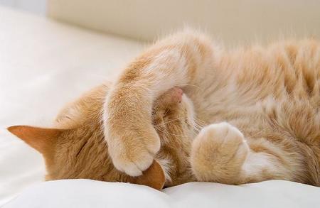 A vueltas con la baja productividad, la siesta y otros tópicos made in Spain