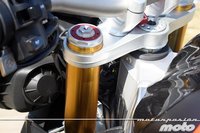 Adivina que ha probado Morrillu esta semana (1)