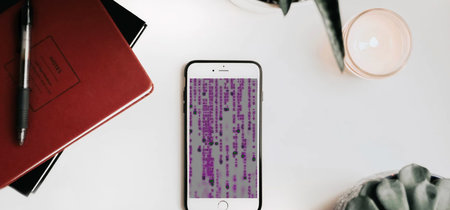 Apple ofrece un millón de dólares a quien sea capaz de hackear un iPhone y también lanza un programa de recompensas para el Mac