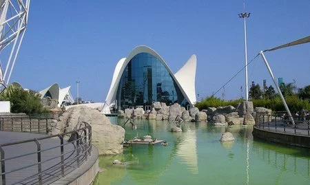 El Oceanogràfic de Valencia celebra con descuentos su noveno aniversario