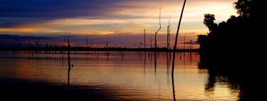 Quando o Brasil inundou a Amazônia para criar um reservatório, provocou algo diferente: um vasto cemitério de árvores e animais 
