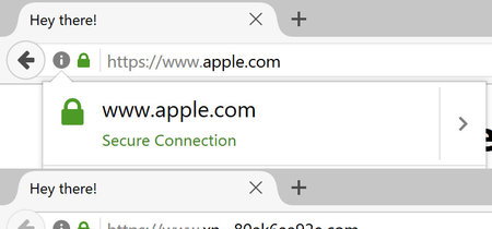 аррӏе.com y apple.com lucen iguales pero no lo son, y ni Chrome ni Firefox notan la diferencia