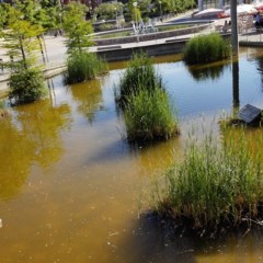 Foto 2 de 10 de la galería fotografias-tomadas-con-huawei-ascend-p7 en Xataka