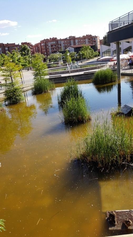 Foto de Fotografías tomadas con Huawei Ascend P7 (2/10)