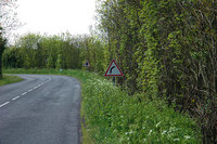 A diestra y siniestra