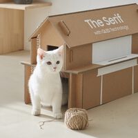 La caja de tu tele Samsung no tiene por qué acabar en el contenedor: trae un QR que la transforma en muebles de cartón