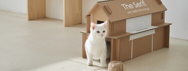 Una casa para gatos, un revistero o una mesa bajo la tele: antes de tirar una caja de Samsung puedes darle una segunda vida 